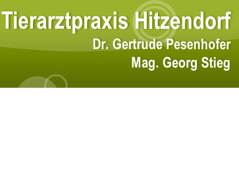 Tierarztpraxis Hitzendorf
Dr. Gertrude Pesenhofer
Mag. Georg Stieg
 